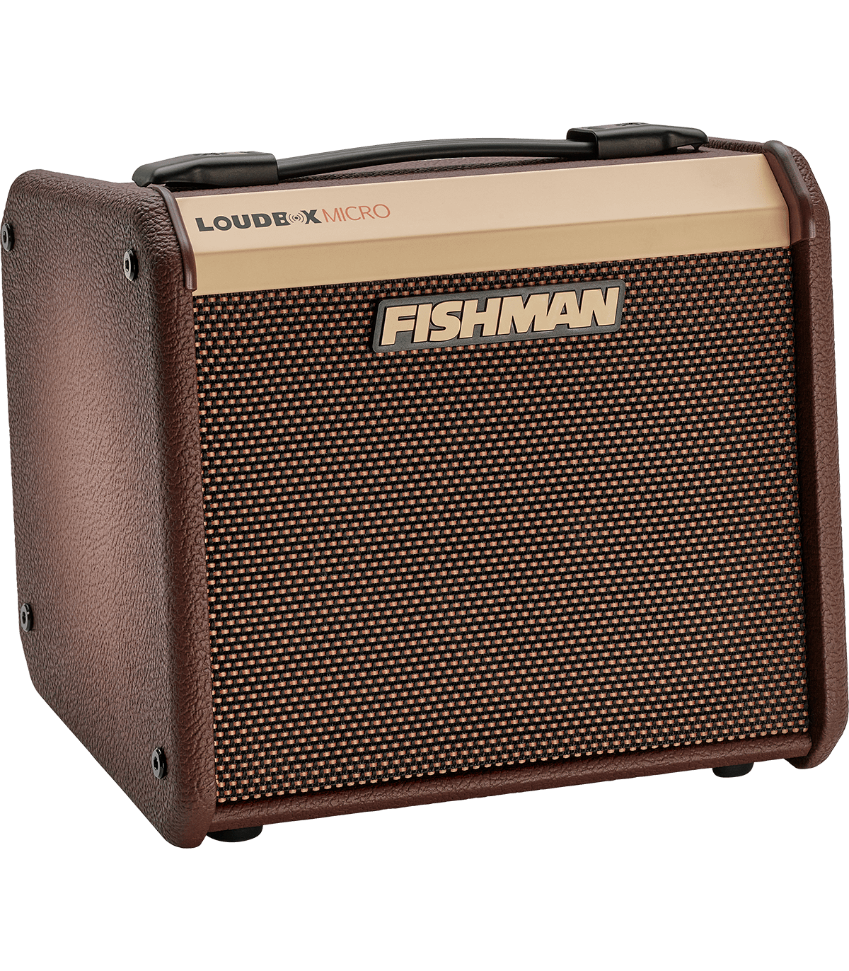 Ampli pour Guitare Acoustique FISHMAN - PRO-LBT-400 - Micro - Micro 40W