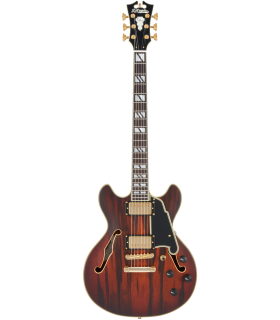 Guitare Electrique D'ANGELICO Excel DC Viola
